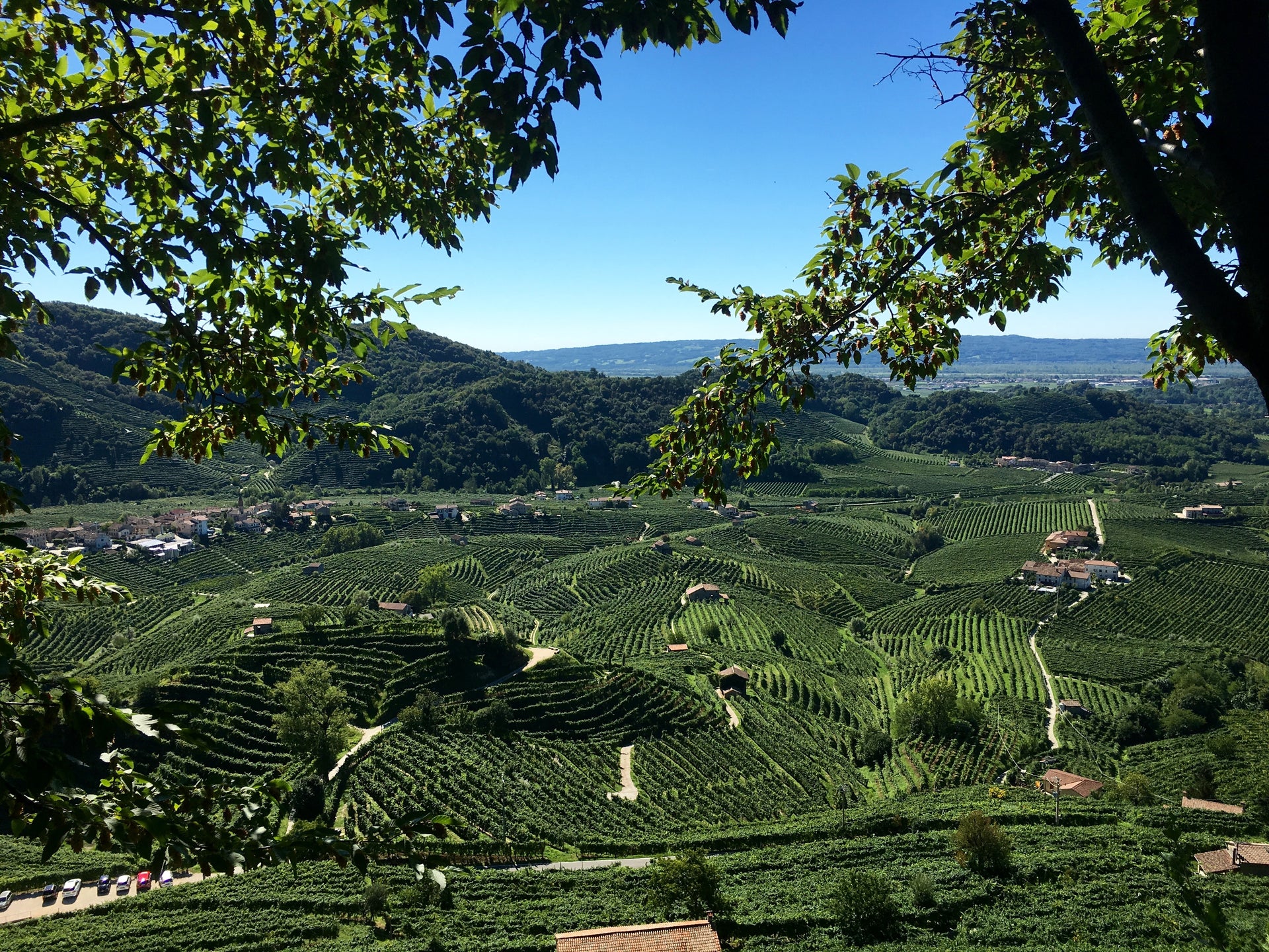 Translation missing: en.sections.video.load_video