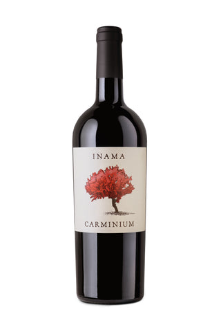 CARMINIUM COLLI BERICI CARMENERE DOC
